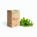 Mint - white background